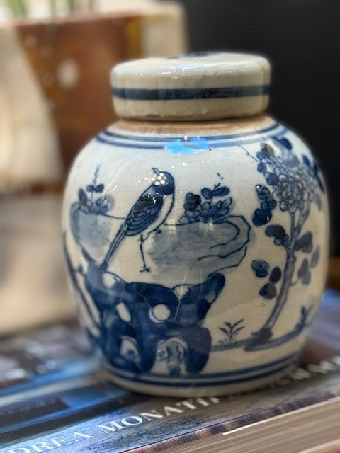 Bird Jar-YN