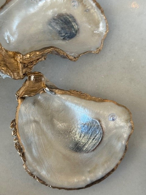 Pearl Shell-TU