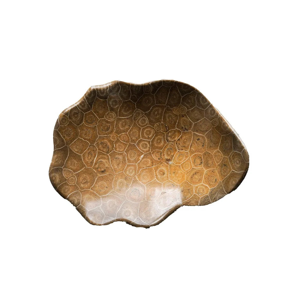 Small Coral Fossil Bowl- AJ