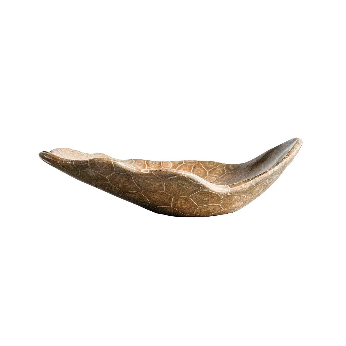 Small Coral Fossil Bowl- AJ