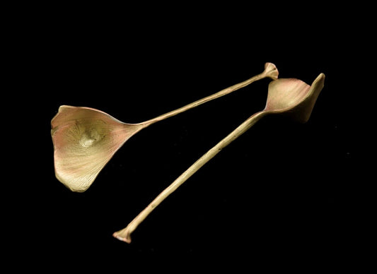 Bronze Ginko Spoon Set-BM