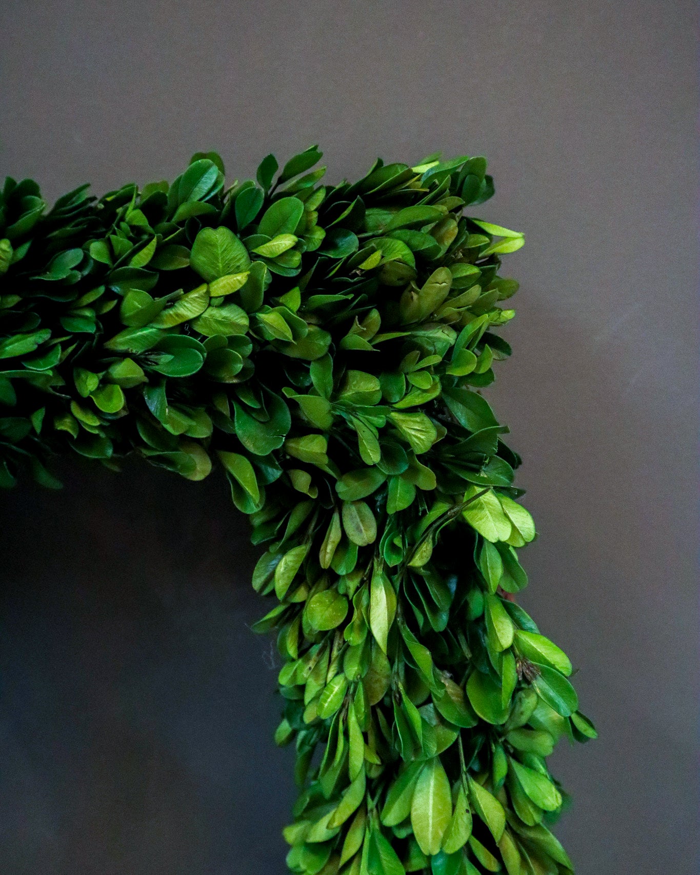 Boxwood Rectangle Wreath